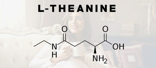 Matcha Poeder Gezond? L-theanine