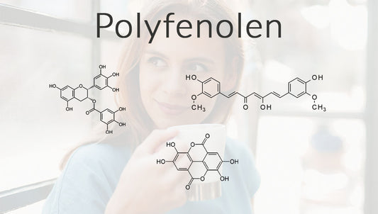 Matcha Thee Gezond? Polyfenolen!