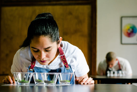 Wat is ceremoniele matcha? (Uitleg | Vergelijkingen)