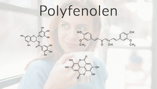 Matcha Thee Gezond? Polyfenolen!