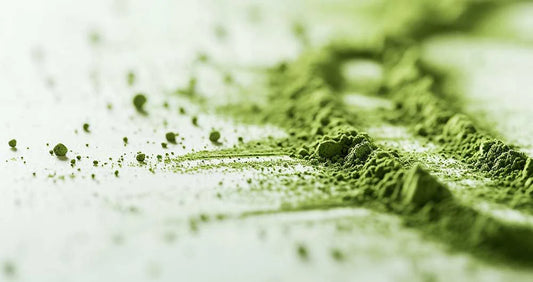 Ceremoniële Matcha: Waarom Kwaliteit het Verschil Maakt
