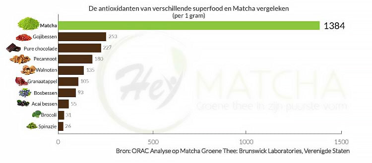 Matcha Antioxidanten