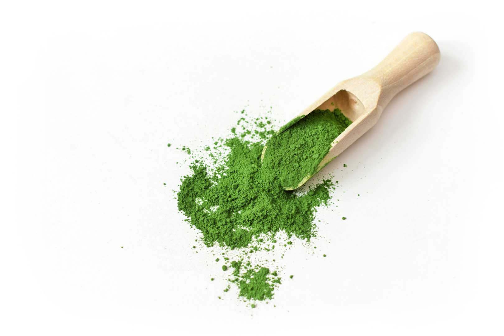 Hey Matcha Nishio Zen Ceremonial